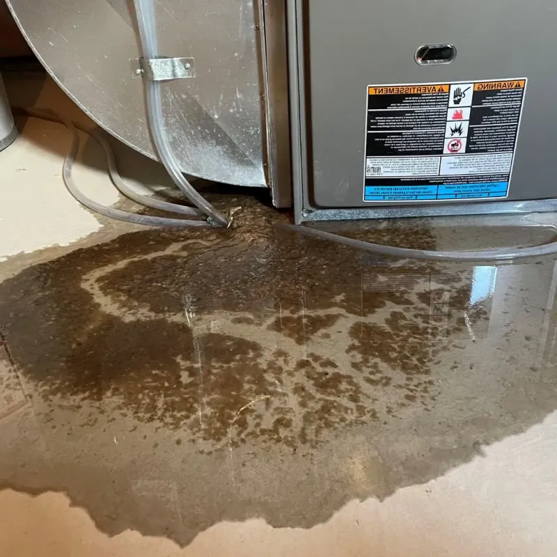 Pipe Burst and Leak Restoration in Fruit Heights, UT